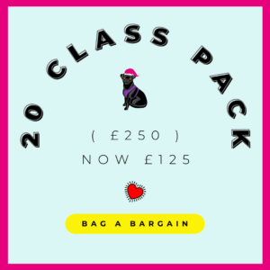 Special 20 class pack
